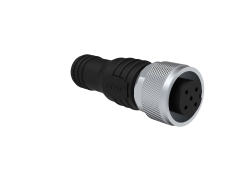 Buchsenstecker M12-Stecker, 5-polig